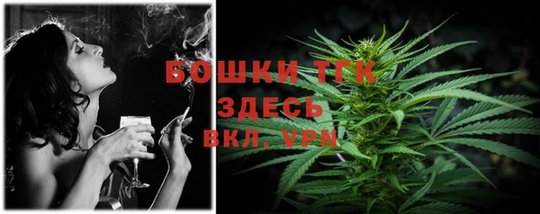 МДПВ Михайлов