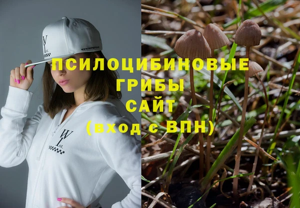 МДПВ Михайлов