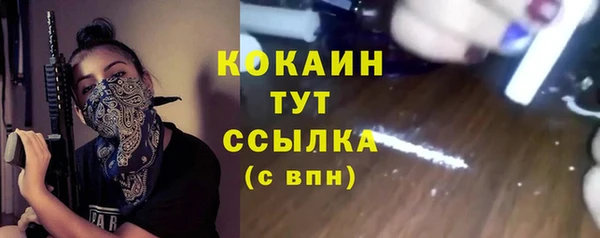 МДПВ Михайлов