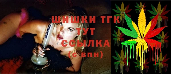 МДПВ Михайлов